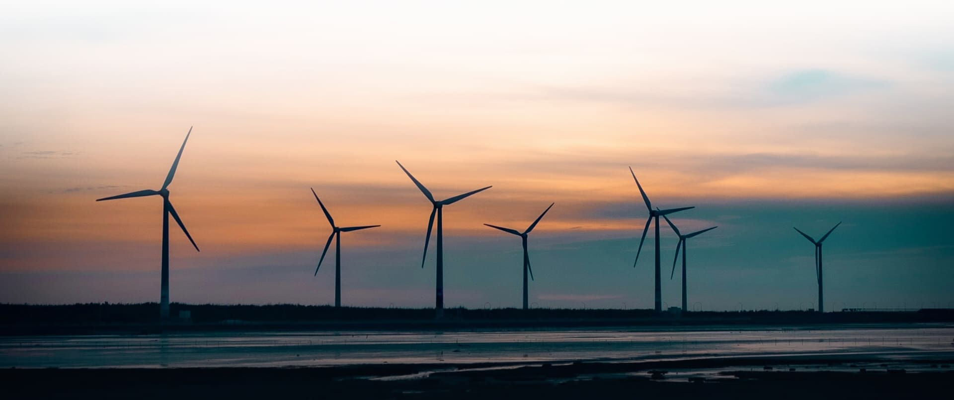 Row of wind turbines at sunset generating renewable energy along a coastal shoreline, symbolizing sustainable power generation and clean energy technology in wind farms.
